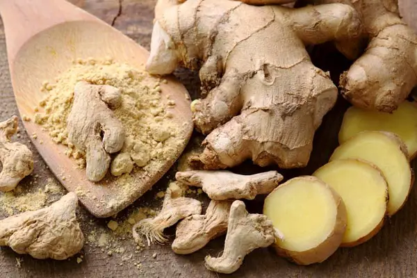 ginger for fibromyalgia