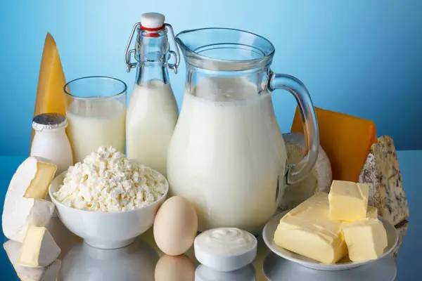 fibromyalgia and dairy products