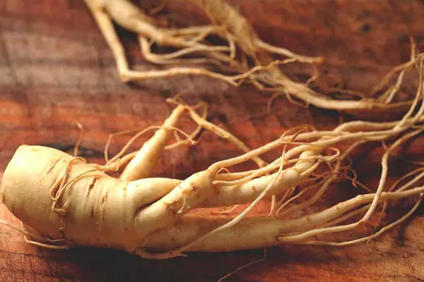 Ginseng for fibromyalgia