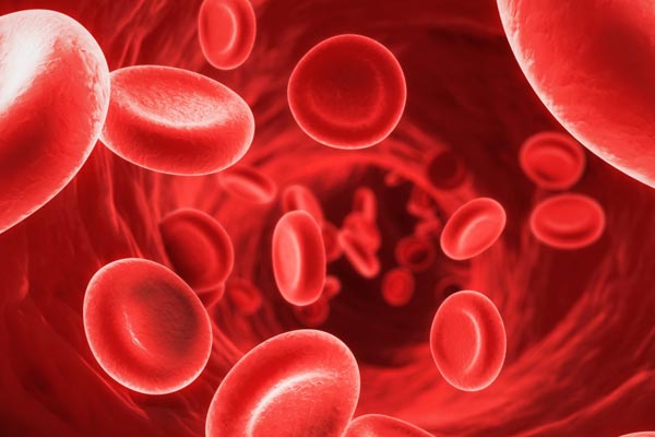 Anemia and Fibromyalgia: The Correlation Between the Two