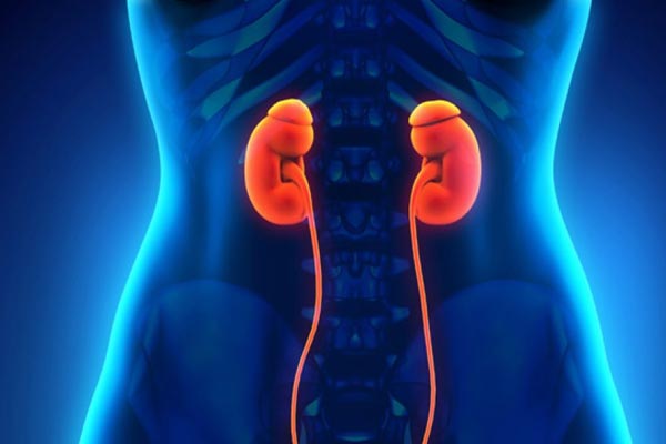 Fibromyalgia and Kidney Disease